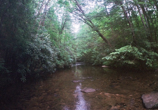 Laurel Fork Creek, Big South Fork country